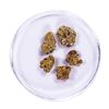 Image 1 : Lot of Gold Nuggets 4.52 Grams Total Weight