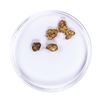 Image 2 : Lot of Gold Nuggets 2.36 grams Total Weight