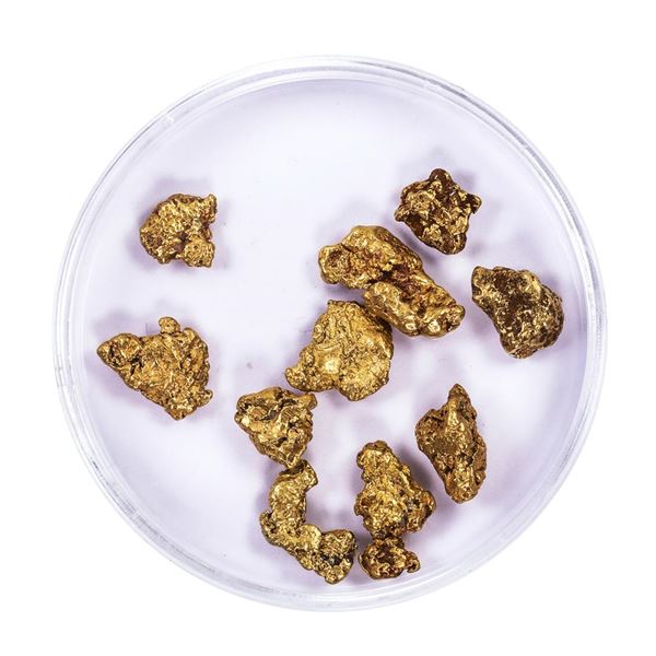 Lot of Gold Nuggets 7.40 Grams Total Weight