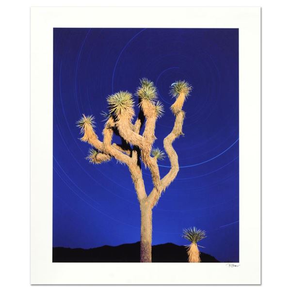 Robert Sheer "Joshua Tree" Limited Edition Photo on Paper