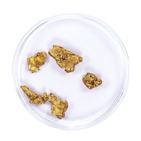 Lot of Gold Nuggets 4.29 Grams Total Weight