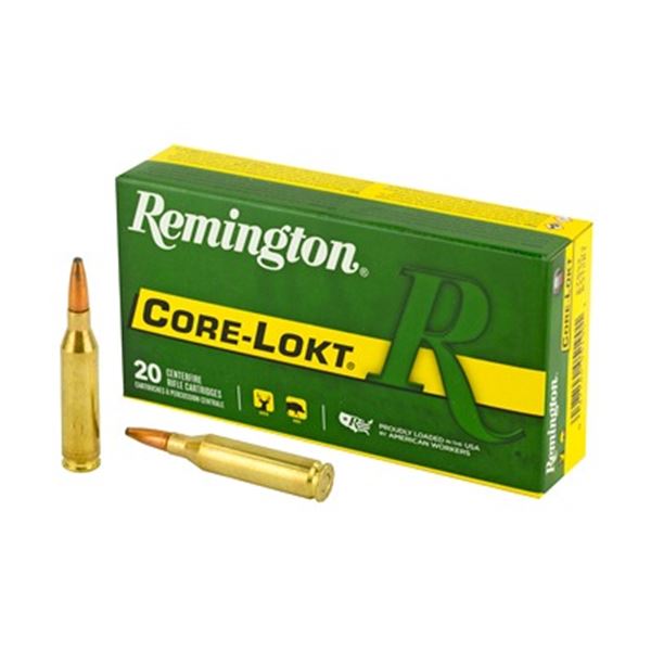 REM 243WIN 100GR PSP CL - 20 Rds