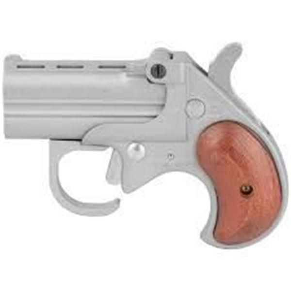 BEARMAN BIG BORE W/GRD 22WMR STN/RSW