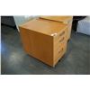 Image 8 : TWO 3 DRAWER ROLLING STANDS