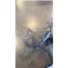 Image 3 : METAL DEER HEAD TROPHY