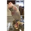 Image 1 : ROYAL DUX COCKATOO FIGURE 7 INCHES TALL