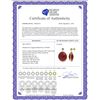 Image 2 : Genuine 46.06 ctw Ruby & Diamond Earrings 14KT Yellow Gold - REF-68R8P