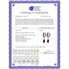 Image 2 : Genuine 4.3 ctw Garnet Earrings 14KT White Gold - REF-53W8Y