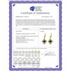 Image 2 : Genuine 1.10 ctw Sapphire Earrings 14KT Yellow Gold - REF-41V4W