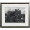 Image 1 : WALTER DUBOIS RICHARDS, 12"x16" lithograph