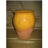Image 1 : mustard glazed earthenware pot #1950684