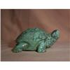 Image 1 : Turquoise Turtle #1951726
