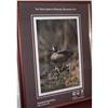 Image 1 : Signed Lim, Edition Poster 2006 Conservation #1951936