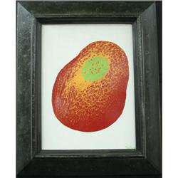 Exotic Fruit Abstract oil stretched canvas Max #1968816