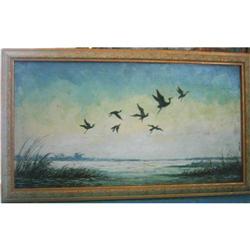 African Black Flamingo over the Congo River #1969856