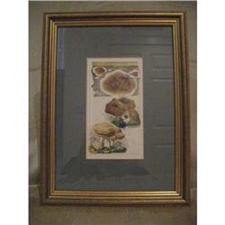 one of four mushroom prints #1985798