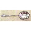 Image 1 : 1893 VICTORIAN COLUMBIA BERRY SPOON SILVERPLATE#1986004