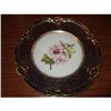 Image 1 : Paris Porcelain Sevres  Botanical Plate #1986521