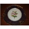 Image 1 : Paris Porcelain Sevres  Botanical Plate #1986532
