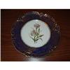 Image 1 : Paris Porcelain Sevres  Botanical Plate #1986533