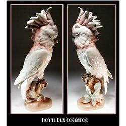 LARGE ROYAL DUX PORCELAIN COCKATOO - FG011 #1992151