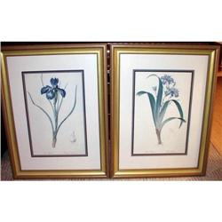 Vintage Iris Prints Pair 24" x 32" Framed Size #1959682