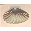 Image 1 : 8 Exquisite 950 Sterling Shell Butter Pats  #1959950