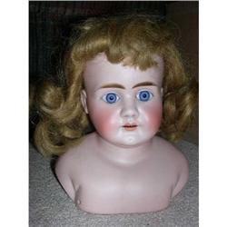 7.5" Simon & Halbig 1260 Bisque Head #1968382