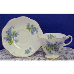 English China Heathcote  Cup & Saucer #1980490