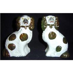 Pair of English Staffordshire Spaniels #1991564