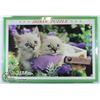 Image 1 : 1000PC PUZZLE OF KITTENS