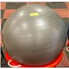 Image 1 : 2 EXERSIZE BALLS