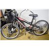 Image 1 : TRIUMPH 24" BIKE