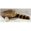 Image 1 : RACOON SKIN HAT