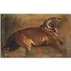 Image 1 : A prowling Tiger, painted within English School#1979830