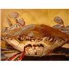 Image 1 : CONTEMPORARY PAINTING OF A MARYLAND CRAB,FRAMED#1989821