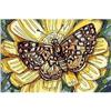 Image 1 : "Butterfly" on Avant-Garde's watercolor. #2000816