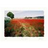 Image 1 : "Poppy's valley" Author's lithograph by Livitin#2000830