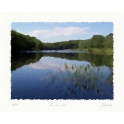 "Rushy lake" Author's lithograph by Livitin In.#2000840