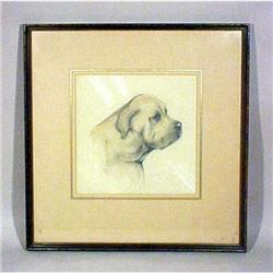 Antique Dog Drawing Sketch Framed  #2001459