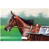 Image 1 : "American trotter - winner" - race-horse #1955520