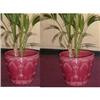 Image 1 : Pair Minton Jardinieres (c1910) #1955844