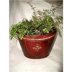 Leather Hat Box England 19th Century  #1978441