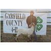 Image 1 : Hunter McWilliams - Reserve Champion WFP2 Market Lamb