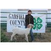 Image 1 : Hunter McWilliams - Reserve Champion WFP2 Market Lamb