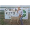 Image 1 : Gracie Phipps - Market Lamb