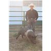 Image 1 : Billy Baker - Swine