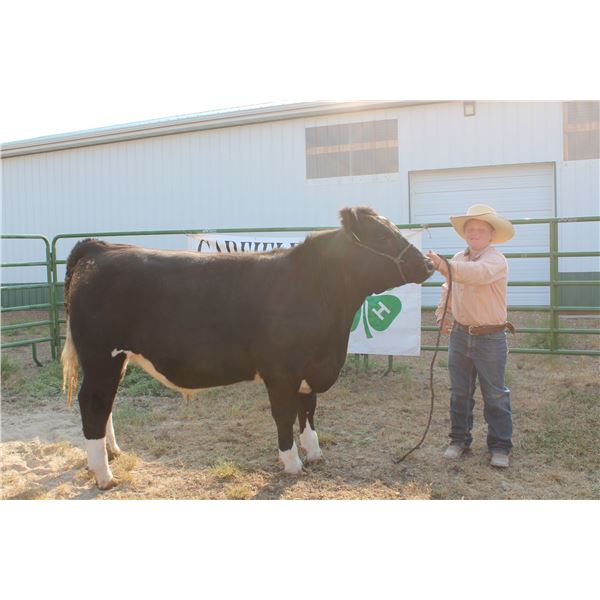 Parmalee Stroh - Market Beef