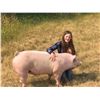 Image 1 : Aubrey Smith - Swine