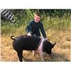 Image 1 : Teddy Smith - Swine